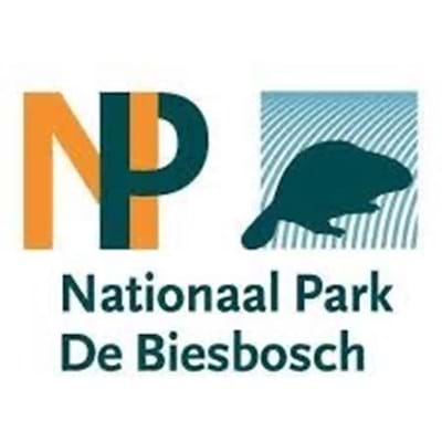 Nationaal Park De Biesbosch