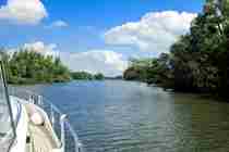 JHB Biesbosch Motorboat Cruising