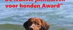 Best Dog Marina Award