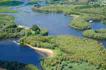 Biesbosch River Amer