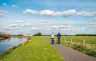 Cycle Path Biesbosch